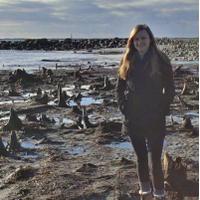 Sarah Fitzpatrick (@s2fitz) 's Twitter Profile