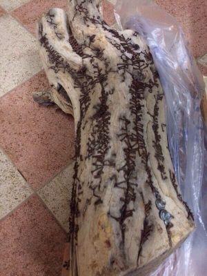 Mfhotmai's profile picture. 