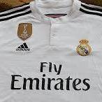 MAYOR INFORMACION AL 9331156835