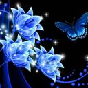 Dawn Garza - @drgnlver8 - Twitter