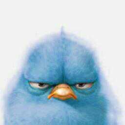 poponchipelusi's profile picture. 