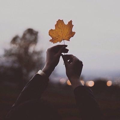احبك نويشز