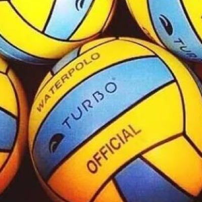 puppis_tomo's profile picture. 