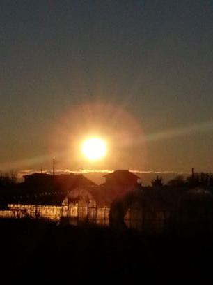 aquabluescene's profile picture. 日本の、そして日本人の為に尽力されている議員を党派関係無く支持します。基本的にDMは見てませんので御了承下さい。