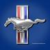 Mart D. (@themansmustang) Twitter profile photo Mart D. (@themansmustang) Twitter profile photo