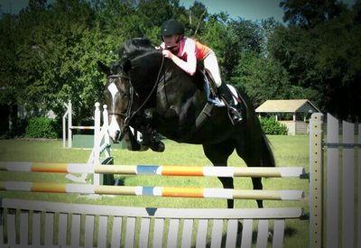 UF Sport Management ---
Equestrian