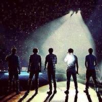 Belieber-SEL-1D (@hsm38d) 's Twitter Profile