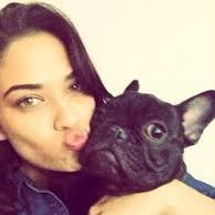 Frenchie Addict (@frenchieaddict) 's Twitter Profile