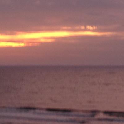 benvenuti88's profile picture. 