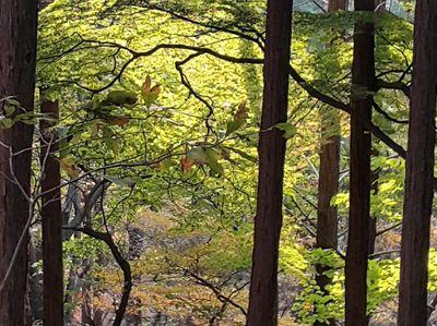 need10000's profile picture. 엄마,아내,딸, . . . 관계가 지탱해주는 삶