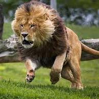 Oduenasc's profile picture. 