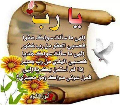 هذا حساب (الوردة الحمراء)الثاني        والحساب الأول متوقف بسبب عطل فني أتشرف بمتابعتكم