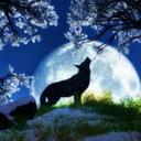 Jonathan Clouse - @ac0e2269301746b - Twitter