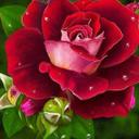 Candy Mendoza - @cand_mendoza - Twitter