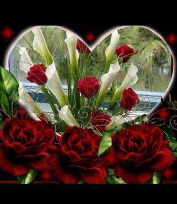 ‏‏‏‏♡انا تايه ان قلبي من ♡الحب مداري ♥ليه                               5279EA8D‏