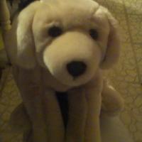john chergi(@JChergi) 's Twitter Profile Photo john chergi(@JChergi) 's Twitter Profile Photo