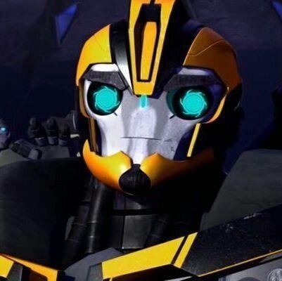 TFP 범블비 비공식봇입니다 / if 세계관 운용 중 / 리밋계: @TFP_Bumblebee_L / ※맞팔은 원하면 해주고 있어, 멘션 줘. / 파울러 요원은 이쪽! @TFPrime_bot