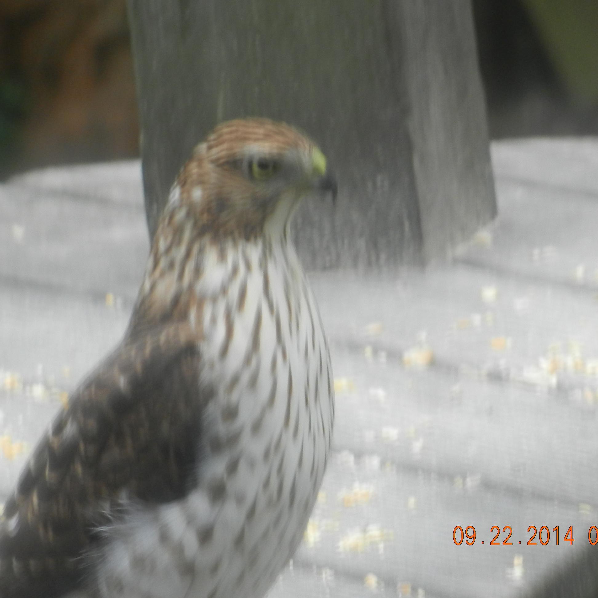 FallertRobert's profile picture. 