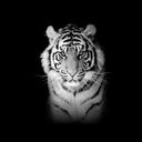 Sarah Post - @648880d33e8f4f7 - Twitter