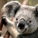 allan chan  - @AllanChan40404 - Twitter