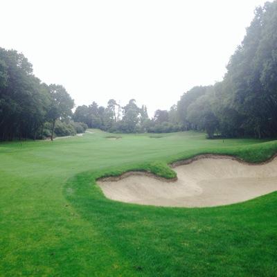 willthegolfer1's profile picture. play golf for sussex east region and dance for tta who go around the world to perform