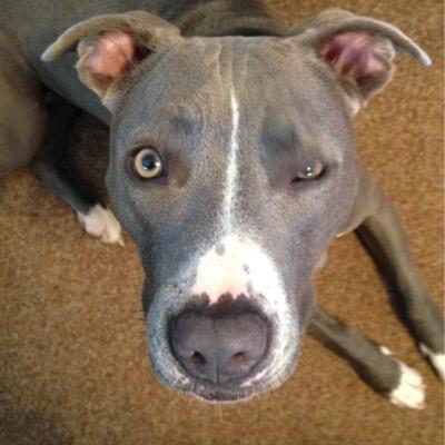 kcg3619's profile picture. 