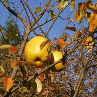 momo (@momo6029) 's Twitter Profile Photo