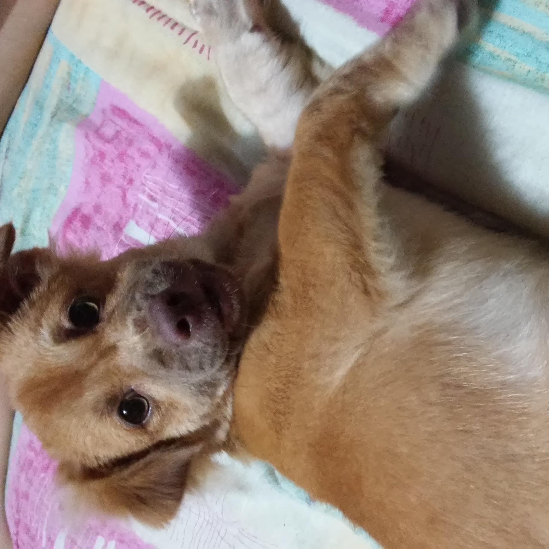 Tinny ^_^