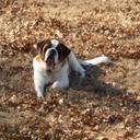 Tammy Armbruster - @TammyArmbruster - Twitter