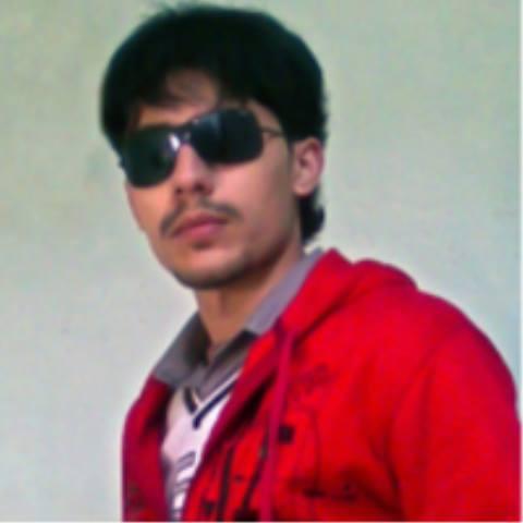 Expert in web Designing and Development using:WordPress, OptimizePress 3 and HTML/CSS.
Certified Ethical Hacker (CEH)