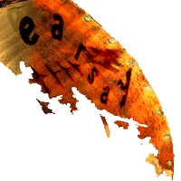 earsay music (@earsaymusic) 's Twitter Profile