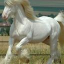 مصطفى سﻻمه (@01284012291com) Twitter