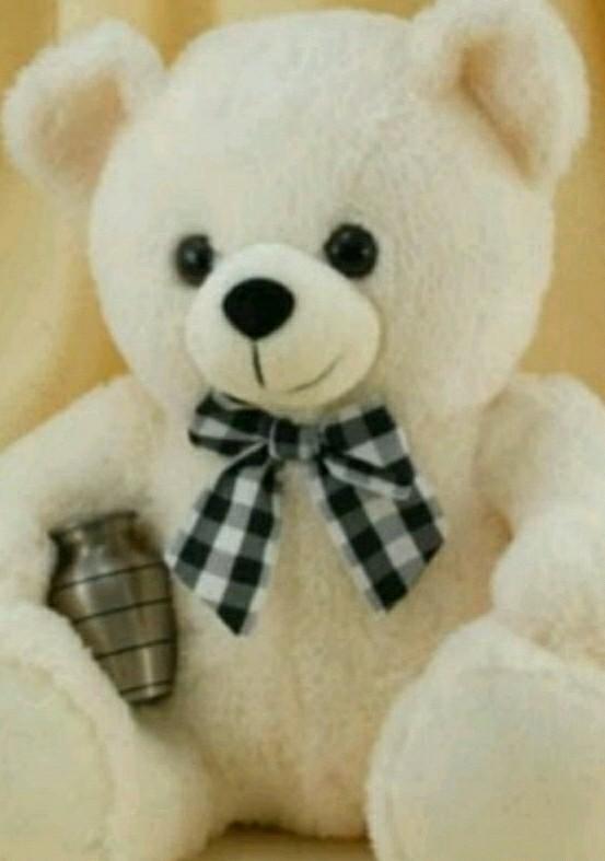 mariaaltaire's profile picture. i love cats & cats & cats & more cats!!! They're adorable, cute lil playful creatures, sometimes naughty yet still sweet! ;)