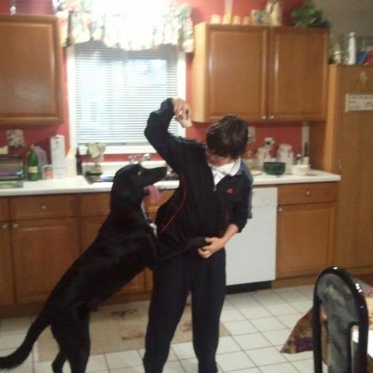 LoLGreeZy's profile picture. #GOLEAFSGO   hardstuck immortal 3 Valorant player