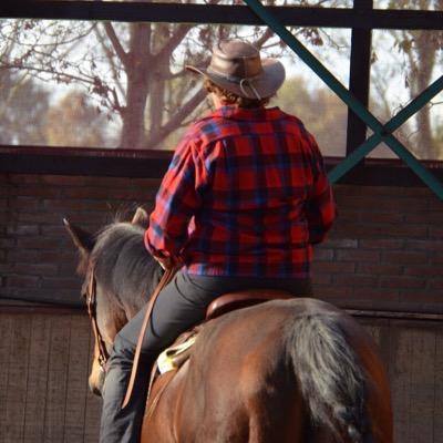 Manege de Paardenhof, dressuur, spring en westernlessen, pensionstalling, buitenritten, kleuterrijden, verjaardagsfeestjes, wedstrijden, verzorgpaarden en meer.