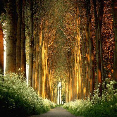 Oguz83K's profile picture. 