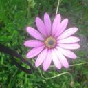 Peter Warr - @38795929b02443e - Twitter