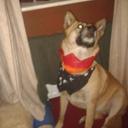 dawn mcgregor - @McgregorDawnu - Twitter