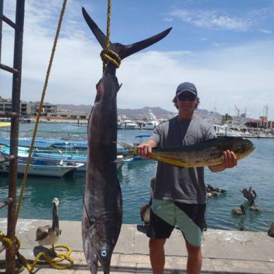 Josh Sullivan Profile