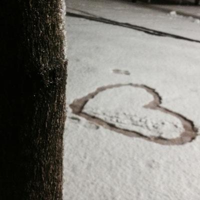 owxalk's profile picture. 