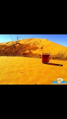 ‏‏‏‏‏‏لن تستطيع حصار فكري ساعة

أو رد إيماني ونور يقيني