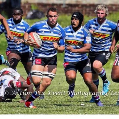 westernprovince rugby player