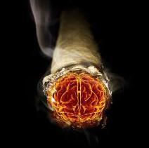 We are Blunt force | Come join us blaze and game on Twitch http://t.co/Z2TQmsUc23 |