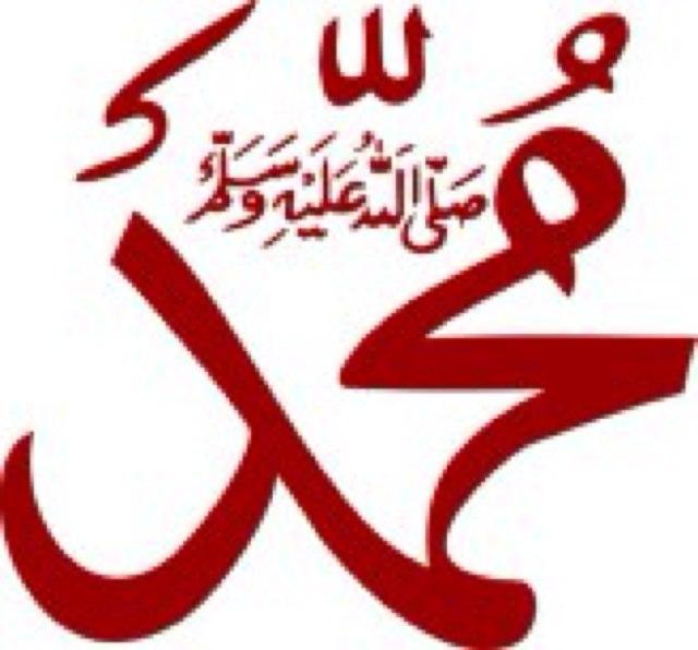 rayanahh56's profile picture. 