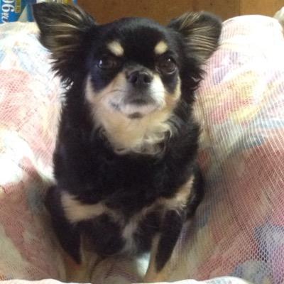 八王子に住んでます。