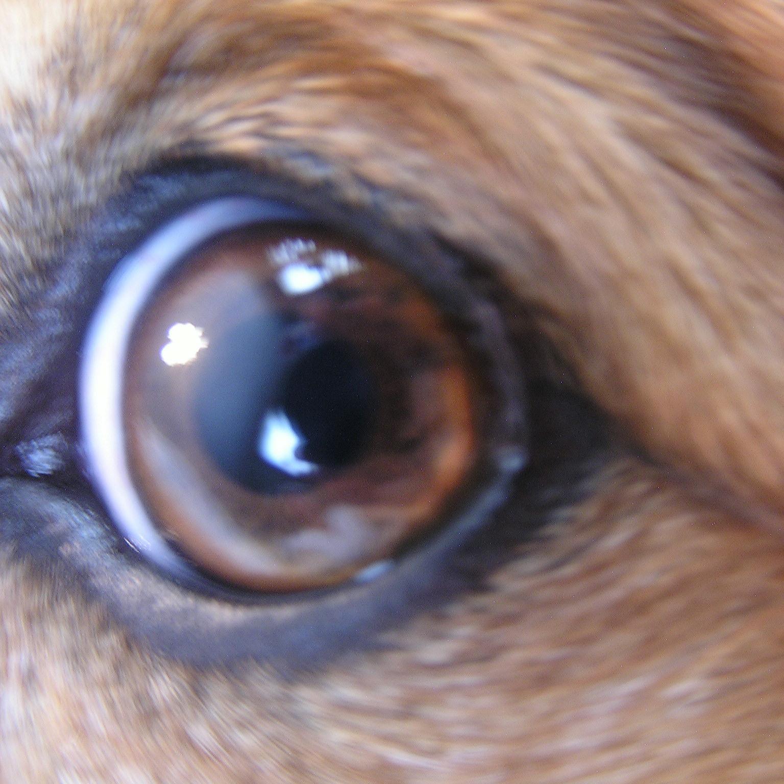 schmicter's profile picture. It sounds weird but real
Sometimes I can't see the trees for the forest
...And after all we're only ordinary men