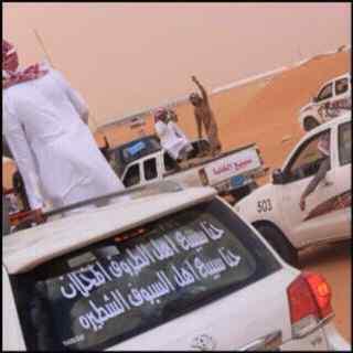 ‏503غلباء