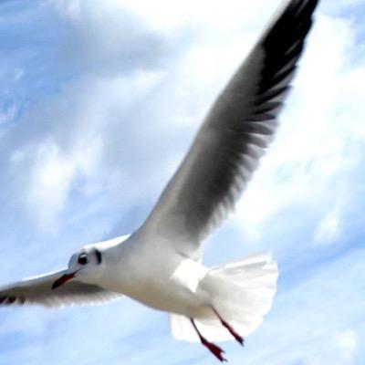 都内住み28歳男
