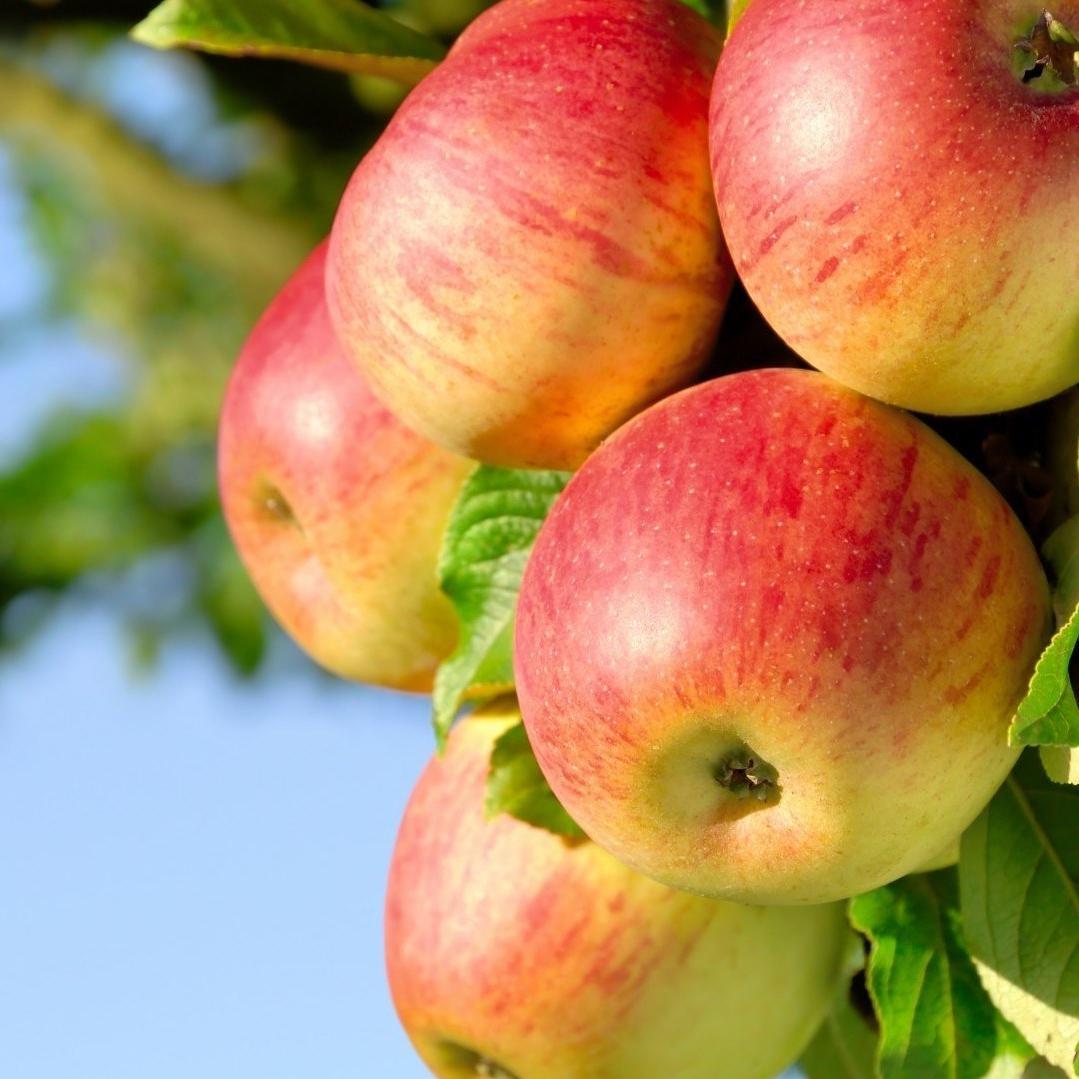 flawlesselrauhl's profile picture. be the change you want to see in the world