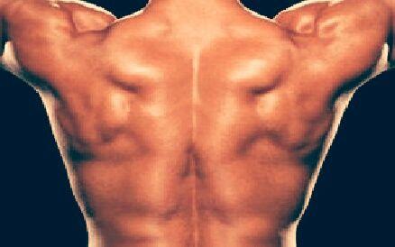 branislav41's profile picture. FIn i povucen momak.